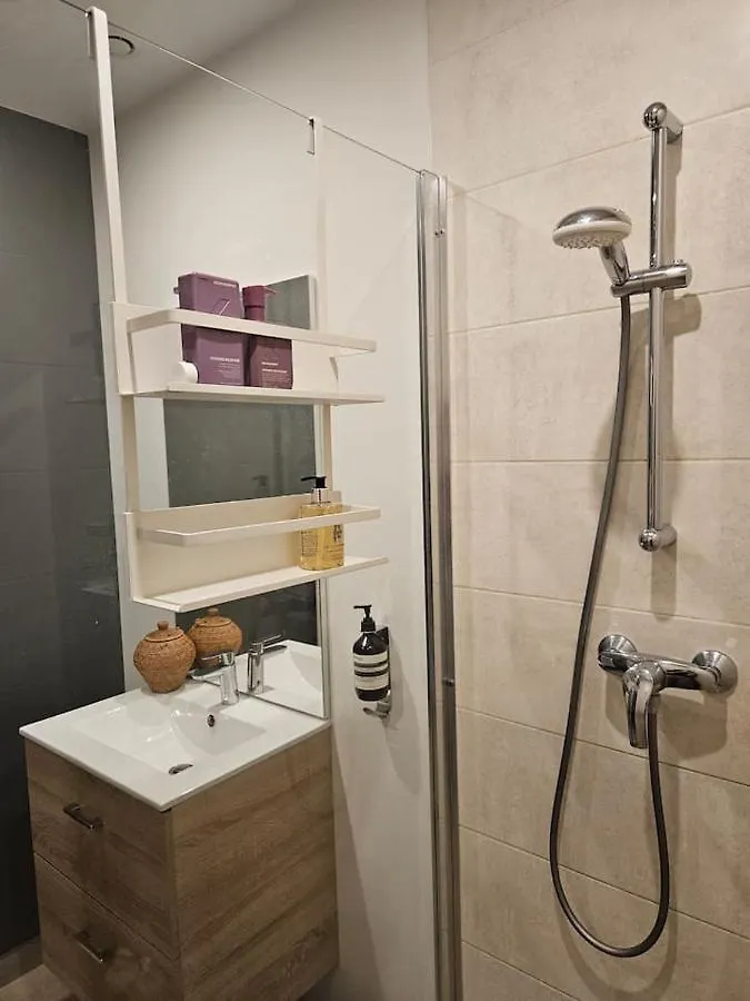Typical Haussmannien Flat Apartment Paris