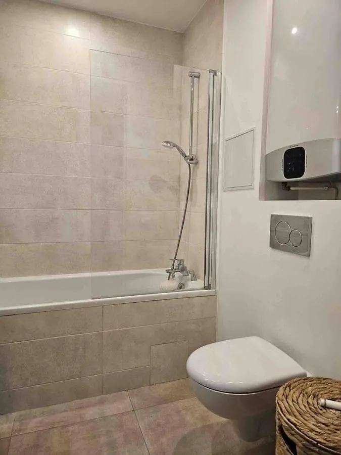 Typical Haussmannien Flat Apartment Paris