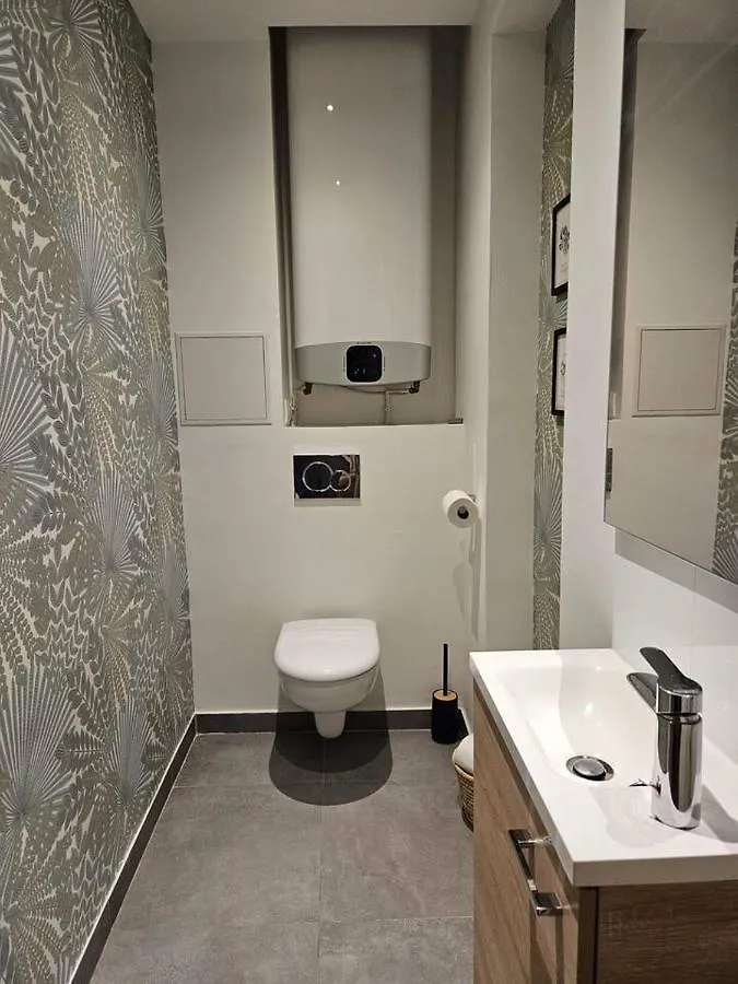 Typical Haussmannien Flat Apartment Paris France