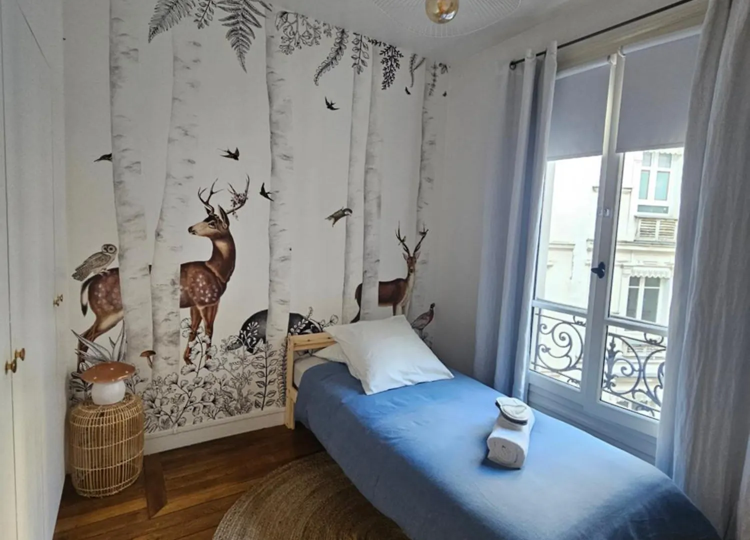 Typical Haussmannien Flat Apartment Paris