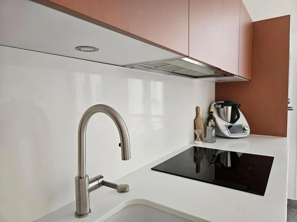 Typical Haussmannien Flat Apartment Paris